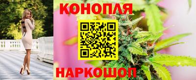 крисы Обнинск