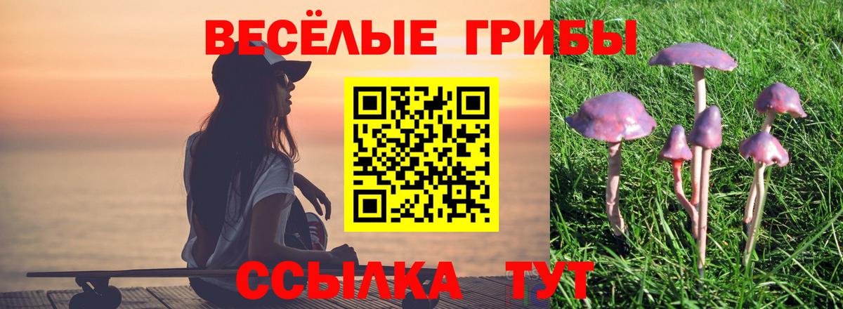 Псилоцибиновые грибы ЛСД Тимашёвск